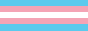 Transgender pride flag — Emmett uses he/they pronouns